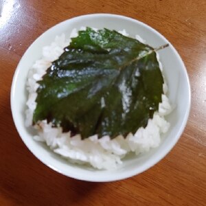 大葉大量消費★大葉のにんにく醤油漬け